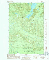 Mountain Lake Michigan Historical topographic map, 1:24000 scale, 7.5 X 7.5 Minute, Year 1985