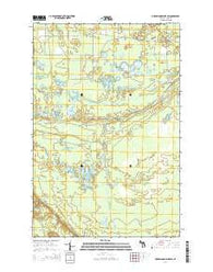 Muskallonge Lake SW Michigan Historical topographic map, 1:24000 scale, 7.5 X 7.5 Minute, Year 2014