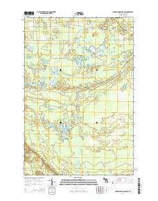 Muskallonge Lake SW Michigan Historical topographic map, 1:24000 scale, 7.5 X 7.5 Minute, Year 2014