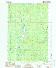 Ned Lake SE Michigan Historical topographic map, 1:24000 scale, 7.5 X 7.5 Minute, Year 1985