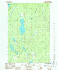 Ned Lake Michigan Historical topographic map, 1:24000 scale, 7.5 X 7.5 Minute, Year 1985