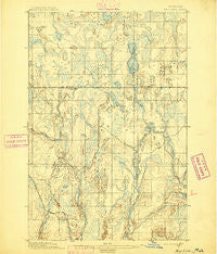 Ned Lake Michigan Historical topographic map, 1:62500 scale, 15 X 15 Minute, Year 1895
