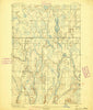 Ned Lake Michigan Historical topographic map, 1:62500 scale, 15 X 15 Minute, Year 1895