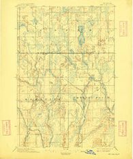 Ned Lake Michigan Historical topographic map, 1:62500 scale, 15 X 15 Minute, Year 1895