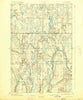 Ned Lake Michigan Historical topographic map, 1:62500 scale, 15 X 15 Minute, Year 1895