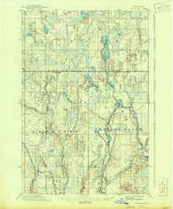 Ned Lake Michigan Historical topographic map, 1:62500 scale, 15 X 15 Minute, Year 1895
