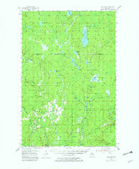 Ned Lake Michigan Historical topographic map, 1:62500 scale, 15 X 15 Minute, Year 1955