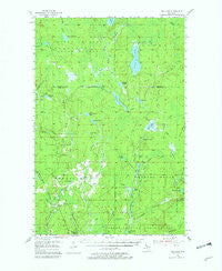 Ned Lake Michigan Historical topographic map, 1:62500 scale, 15 X 15 Minute, Year 1955