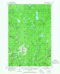 Ned Lake Michigan Historical topographic map, 1:62500 scale, 15 X 15 Minute, Year 1955