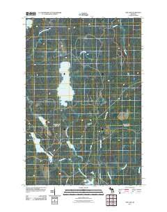 Ned Lake Michigan Historical topographic map, 1:24000 scale, 7.5 X 7.5 Minute, Year 2011