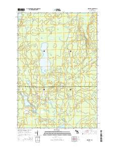 Ned Lake Michigan Historical topographic map, 1:24000 scale, 7.5 X 7.5 Minute, Year 2014