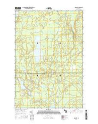 Ned Lake Michigan Current topographic map, 1:24000 scale, 7.5 X 7.5 Minute, Year 2016