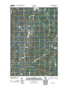 Ned Lake SE Michigan Historical topographic map, 1:24000 scale, 7.5 X 7.5 Minute, Year 2011