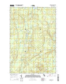Ned Lake SE Michigan Historical topographic map, 1:24000 scale, 7.5 X 7.5 Minute, Year 2014