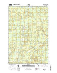 Ned Lake SE Michigan Current topographic map, 1:24000 scale, 7.5 X 7.5 Minute, Year 2016