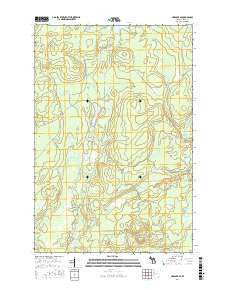 Ned Lake SE Michigan Current topographic map, 1:24000 scale, 7.5 X 7.5 Minute, Year 2016