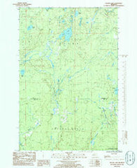 Nelson Lake Michigan Historical topographic map, 1:24000 scale, 7.5 X 7.5 Minute, Year 1985