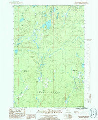 Nelson Lake Michigan Historical topographic map, 1:24000 scale, 7.5 X 7.5 Minute, Year 1985