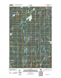 Nelson Lake Michigan Historical topographic map, 1:24000 scale, 7.5 X 7.5 Minute, Year 2011