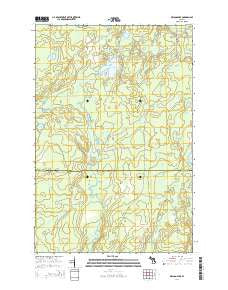 Nelson Lake Michigan Historical topographic map, 1:24000 scale, 7.5 X 7.5 Minute, Year 2014