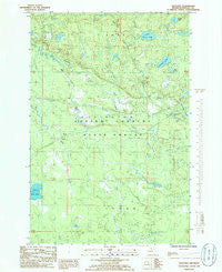 Nestoria Michigan Historical topographic map, 1:24000 scale, 7.5 X 7.5 Minute, Year 1985