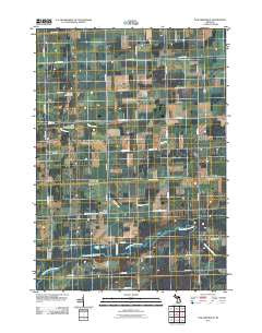 New Greenleaf Michigan Historical topographic map, 1:24000 scale, 7.5 X 7.5 Minute, Year 2011