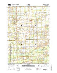 New Greenleaf Michigan Historical topographic map, 1:24000 scale, 7.5 X 7.5 Minute, Year 2014