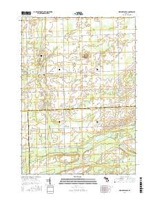 New Greenleaf Michigan Current topographic map, 1:24000 scale, 7.5 X 7.5 Minute, Year 2017