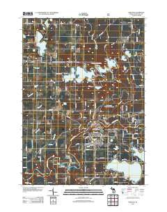 Newaygo Michigan Historical topographic map, 1:24000 scale, 7.5 X 7.5 Minute, Year 2012