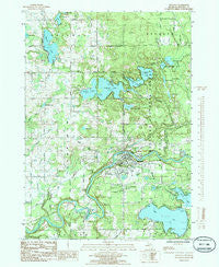 Newaygo Michigan Historical topographic map, 1:24000 scale, 7.5 X 7.5 Minute, Year 1985
