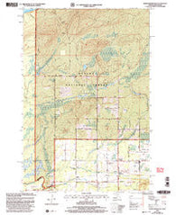 North Ironwood Michigan Historical topographic map, 1:24000 scale, 7.5 X 7.5 Minute, Year 1999