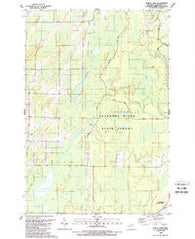 North Lake Michigan Historical topographic map, 1:24000 scale, 7.5 X 7.5 Minute, Year 1989