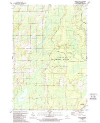 North Lake Michigan Historical topographic map, 1:24000 scale, 7.5 X 7.5 Minute, Year 1989