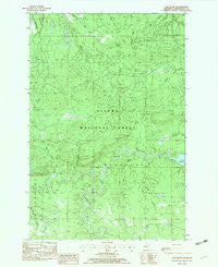 Oak Bluff Michigan Historical topographic map, 1:24000 scale, 7.5 X 7.5 Minute, Year 1982