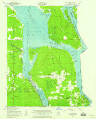 Oak Ridge Michigan Historical topographic map, 1:24000 scale, 7.5 X 7.5 Minute, Year 1951