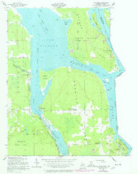 Oak Ridge Michigan Historical topographic map, 1:24000 scale, 7.5 X 7.5 Minute, Year 1951
