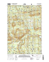 Oak Bluff Michigan Current topographic map, 1:24000 scale, 7.5 X 7.5 Minute, Year 2017