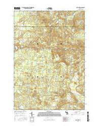 Oak Lake Michigan Current topographic map, 1:24000 scale, 7.5 X 7.5 Minute, Year 2017