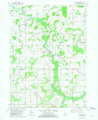 Onondaga Michigan Historical topographic map, 1:24000 scale, 7.5 X 7.5 Minute, Year 1981