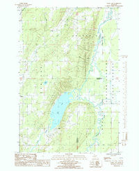 Otter Lake Michigan Historical topographic map, 1:24000 scale, 7.5 X 7.5 Minute, Year 1985