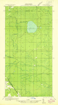 Ozark SE Michigan Historical topographic map, 1:31680 scale, 7.5 X 7.5 Minute, Year 1931
