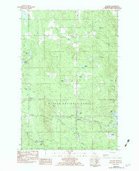 Paulding Michigan Historical topographic map, 1:25000 scale, 7.5 X 7.5 Minute, Year 1982