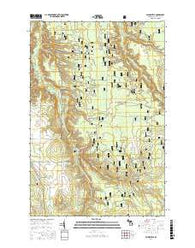 Paynesville Michigan Current topographic map, 1:24000 scale, 7.5 X 7.5 Minute, Year 2017