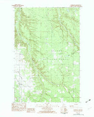 Paynesville Michigan Historical topographic map, 1:25000 scale, 7.5 X 7.5 Minute, Year 1982