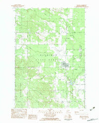 Pellston Michigan Historical topographic map, 1:25000 scale, 7.5 X 7.5 Minute, Year 1982