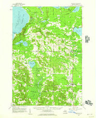 Pellston Michigan Historical topographic map, 1:62500 scale, 15 X 15 Minute, Year 1958