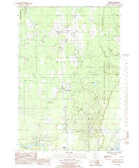 Perkins Michigan Historical topographic map, 1:24000 scale, 7.5 X 7.5 Minute, Year 1985