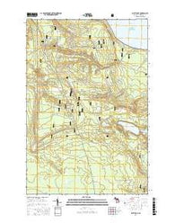 Piatt Lake Michigan Current topographic map, 1:24000 scale, 7.5 X 7.5 Minute, Year 2017