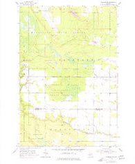 Pickford NW Michigan Historical topographic map, 1:24000 scale, 7.5 X 7.5 Minute, Year 1953