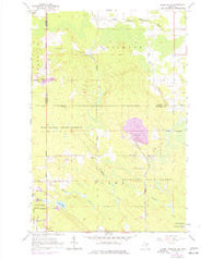 Pickford SE Michigan Historical topographic map, 1:24000 scale, 7.5 X 7.5 Minute, Year 1964